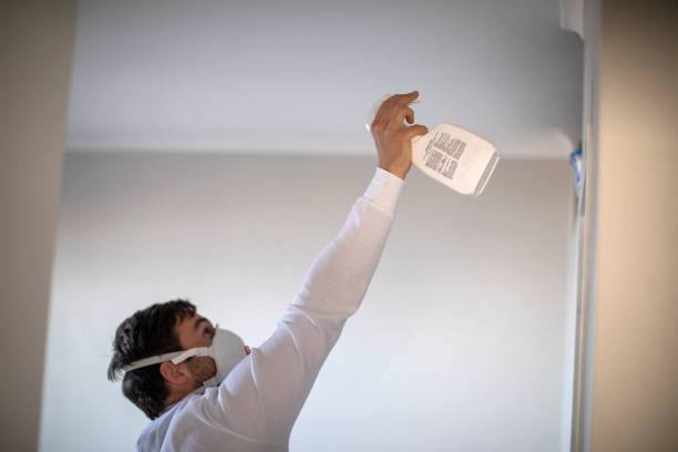 Best Black Mold Remediation in Mishicot, WI