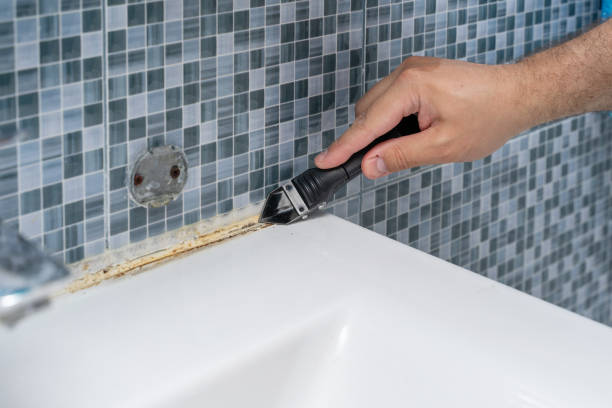 Best Mold Remediation for Specific Building Types in Mishicot, WI