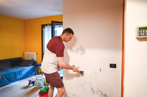 Best Post-Flood Mold Remediation in Mishicot, WI